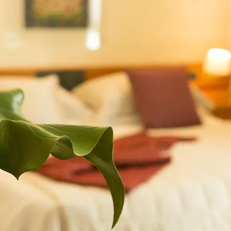Western Dei Cavalieri 4*