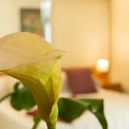 Western Dei Cavalieri Szálloda 4*